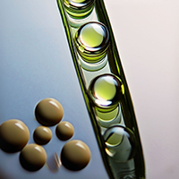 Laborröhrchen und Tabletten